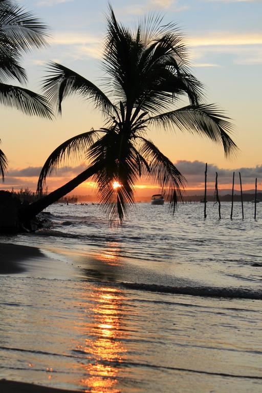 Pousada Das Roseiras Barra Grande  Exteriér fotografie